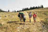 vercors13.jpg (52754 octets)