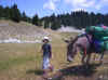 100_0041.jpg (728714 octets)