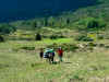 DSC00713.jpg (877148 octets)