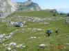 7.jpg (2338571 octets)