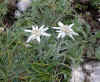 7a.jpg (2002791 octets)