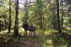 0012.jpg (225346 octets)