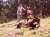spa50135.jpg (948002 octets)