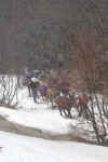 S02.jpg (130263 octets)