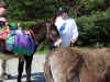 dscn0576.jpg (969995 octets)