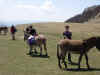 dscn0598.jpg (1001857 octets)