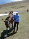 dscn0600.jpg (1045490 octets)