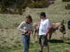 dscn0629.jpg (975766 octets)